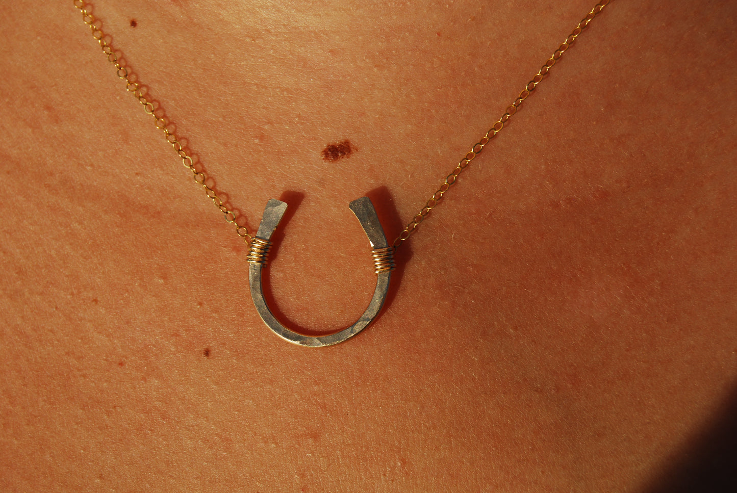 Horseshoe Necklace