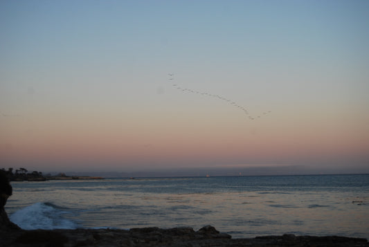 Custom Jewelry Order